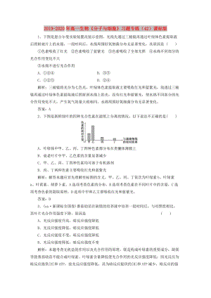 2019-2020年高一生物《分子與細(xì)胞》習(xí)題專(zhuān)練（42）課標(biāo)版.doc