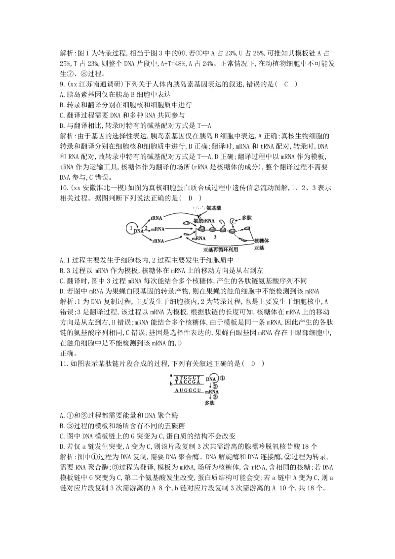 2019-2020年高三生物二轮复习 专题三 遗传 变异与进化 6 遗传的分子基础突破训练.doc_第3页