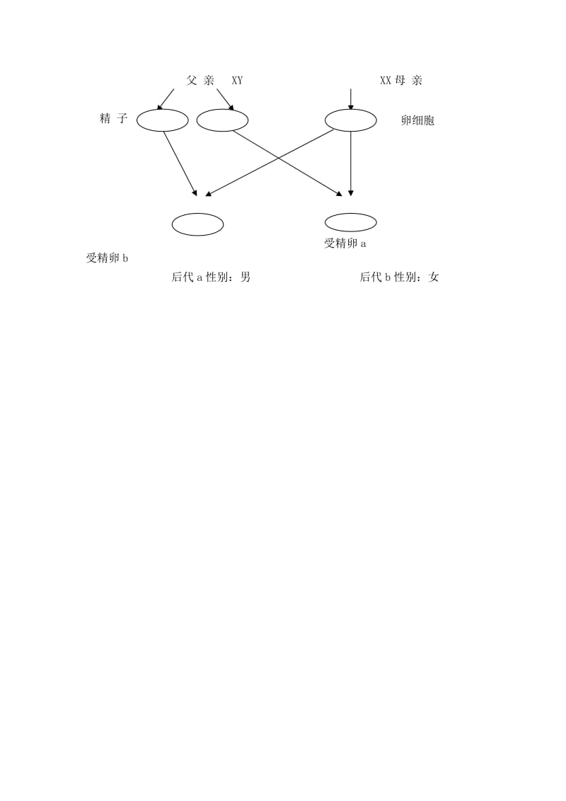 2019-2020年八年级下学期第一次阶段考试生物试题.doc_第3页