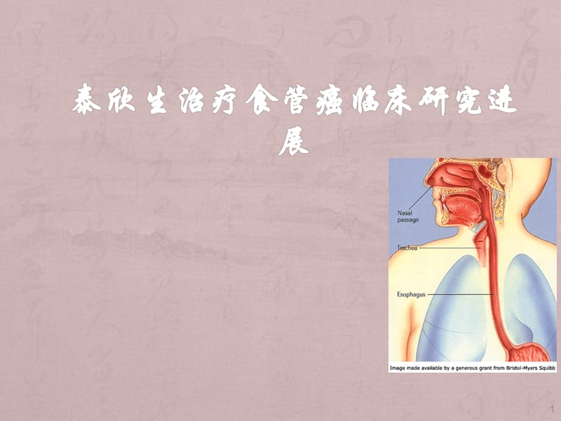 泰欣生治疗食管癌临床研究进展ppt课件_第1页