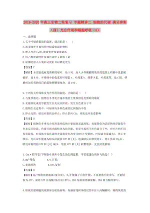 2019-2020年高三生物二輪復(fù)習(xí) 專題精講二 細(xì)胞的代謝 滿分沖刺（四）光合作用和細(xì)胞呼吸（A）.doc