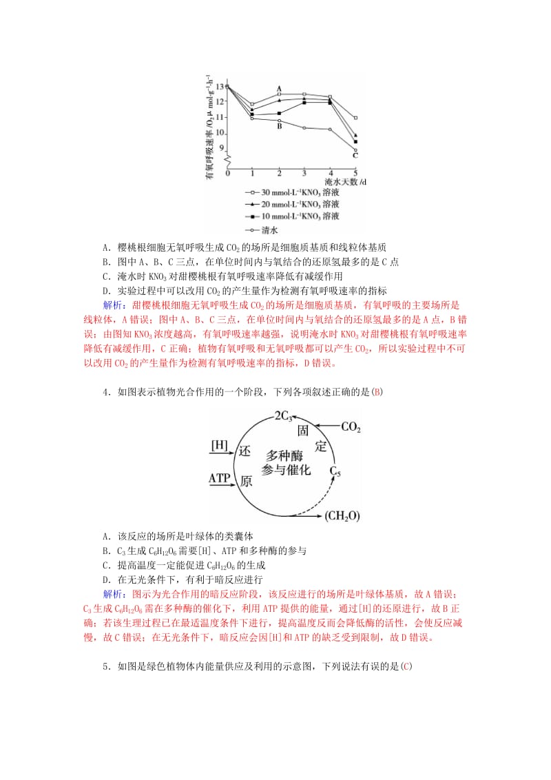 2019-2020年高三生物二轮复习 第一部分 知识落实篇 专题二 细胞的代谢 第2讲 光合作用和细胞呼吸配套作业.doc_第2页