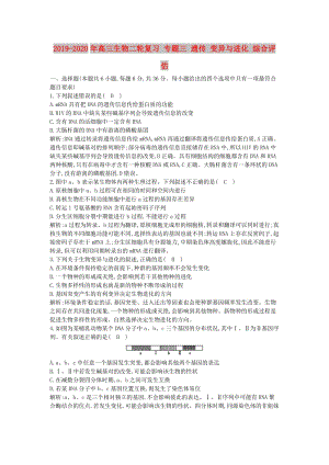 2019-2020年高三生物二輪復(fù)習(xí) 專題三 遺傳 變異與進(jìn)化 綜合評(píng)估.doc