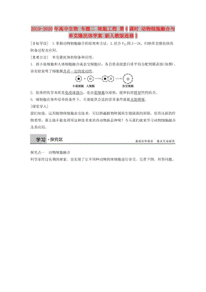 2019-2020年高中生物 專題二 細胞工程 第8課時 動物細胞融合與單克隆抗體學案 新人教版選修3.doc