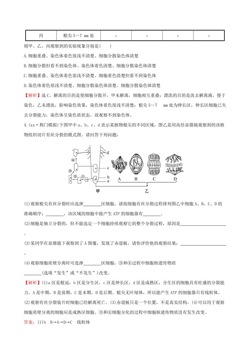 2019-2020年高三生物第一轮复习 第6章 实验：观察根尖分生组织细胞的有丝分裂拓展创新题组 新人教版必修1.doc_第2页