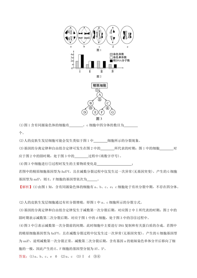 2019-2020年高考生物二轮复习 题型专练 高考重点冲关练5 细胞分裂异常分析.doc_第3页