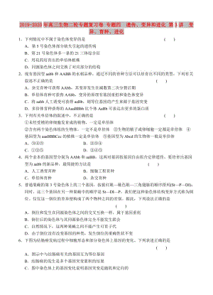 2019-2020年高三生物二輪專題復(fù)習(xí)卷 專題四　遺傳、變異和進(jìn)化 第3講　變異、育種、進(jìn)化.doc