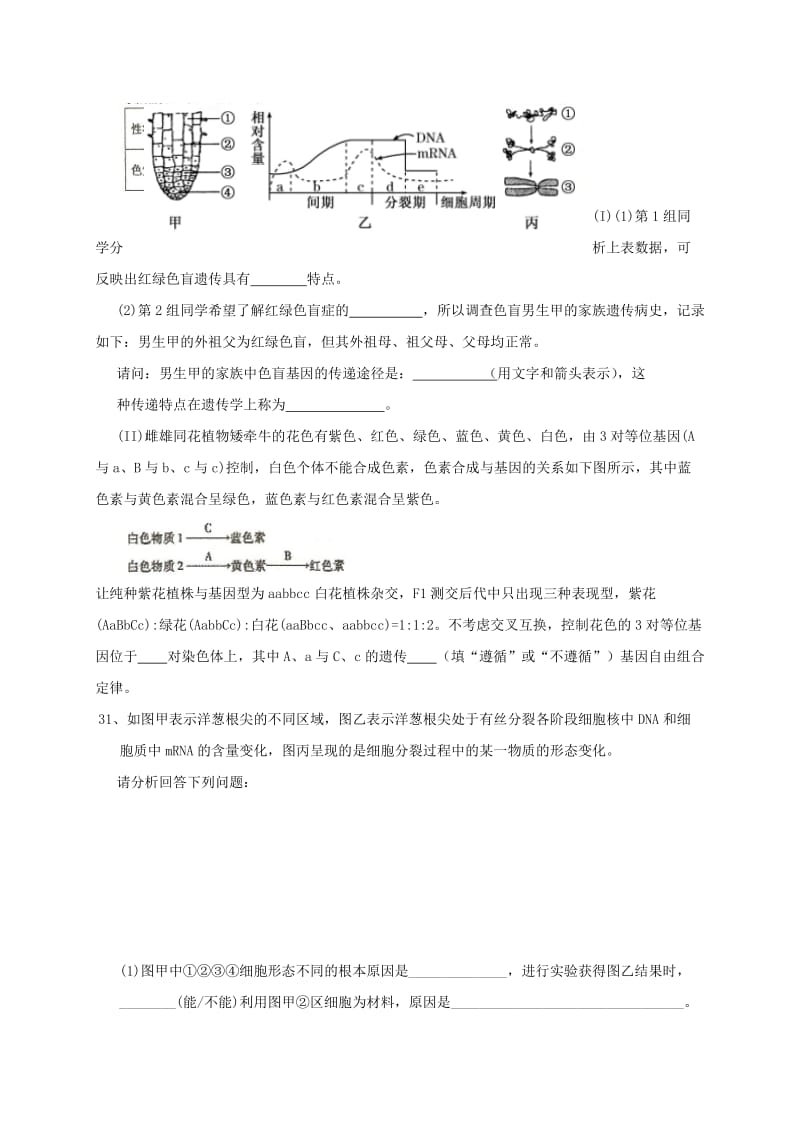 2019-2020年高三生物12月月考试题(V).doc_第3页