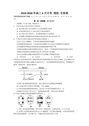 2019-2020年高三4月月考 理綜 含答案.doc