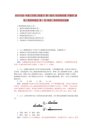 2019-2020年高三生物二輪復(fù)習(xí) 第一部分 知識(shí)落實(shí)篇 專題四 遺傳、變異和進(jìn)化 第3講 變異、育種和變化講解.doc