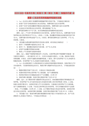 2019-2020年高考生物二輪復(fù)習(xí) 第一部分 專題二 細胞的代謝 命題源4 光合作用和細胞呼吸限時訓(xùn)練.doc