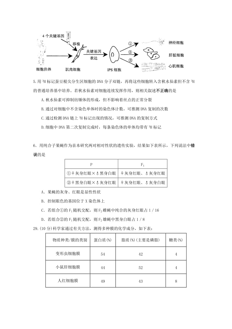 2019-2020年高三生物上学期11月月考试题.doc_第2页