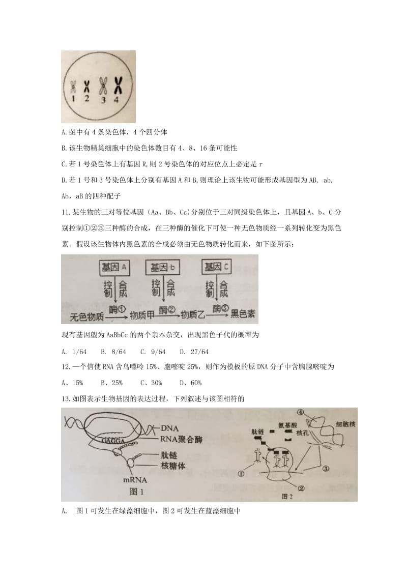 2019-2020年高一下学期期末考试生物试题 无答案(I).doc_第3页