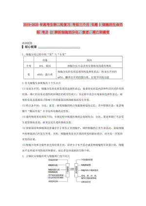 2019-2020年高考生物二輪復習 考前三個月 專題3 細胞的生命歷程 考點12 辨析細胞的分化、衰老、凋亡和癌變.doc