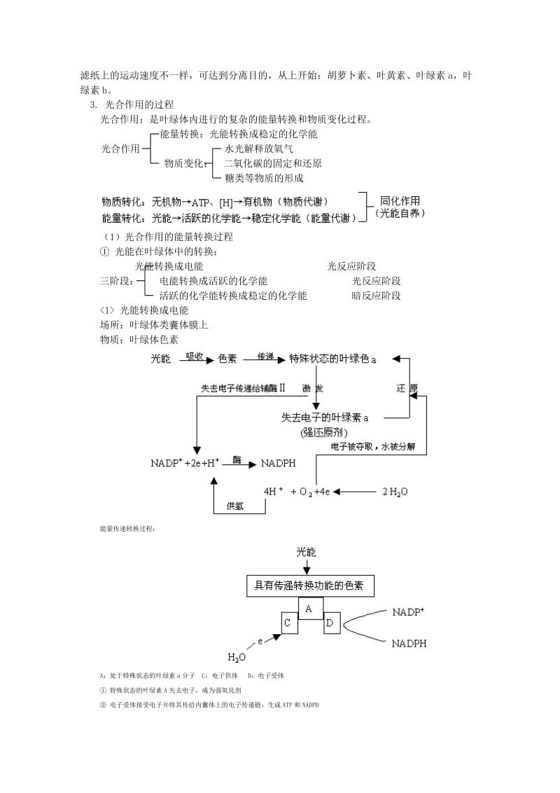 2019-2020年高三生物专题复习 光合作用知识教案.doc_第2页