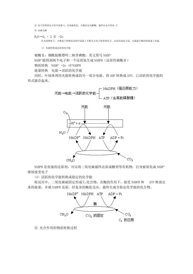 2019-2020年高三生物专题复习 光合作用知识教案.doc_第3页