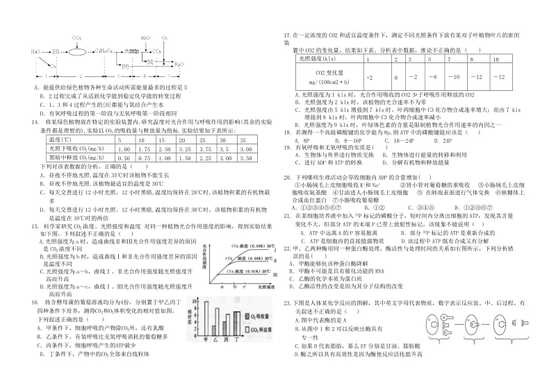 2019-2020年高一生物上学期第四次月考试题A卷 理.doc_第2页