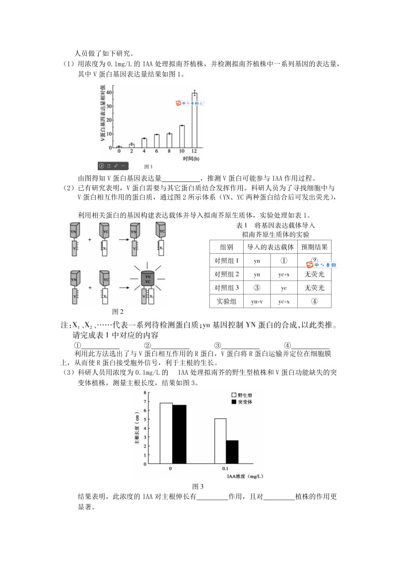 2019-2020年高三生物二模试题(I).doc_第2页