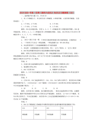 2019-2020年高一生物《遺傳與進(jìn)化》知識點習(xí)題演練（22）.doc