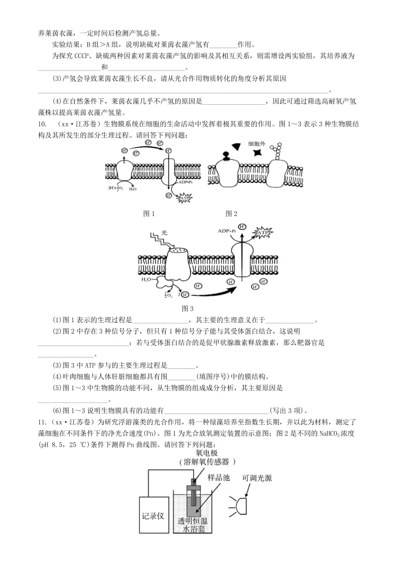 2019-2020年高三生物一轮复习 专题 光与光合作用练习.doc_第2页