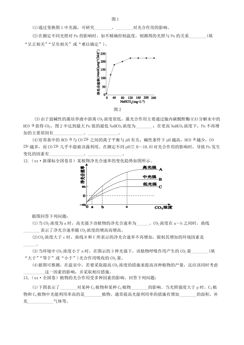 2019-2020年高三生物一轮复习 专题 光与光合作用练习.doc_第3页