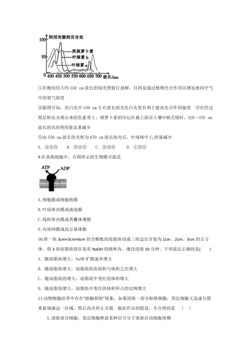 2019-2020年高三上学期生物期中复习模拟题（二）含答案.doc_第3页