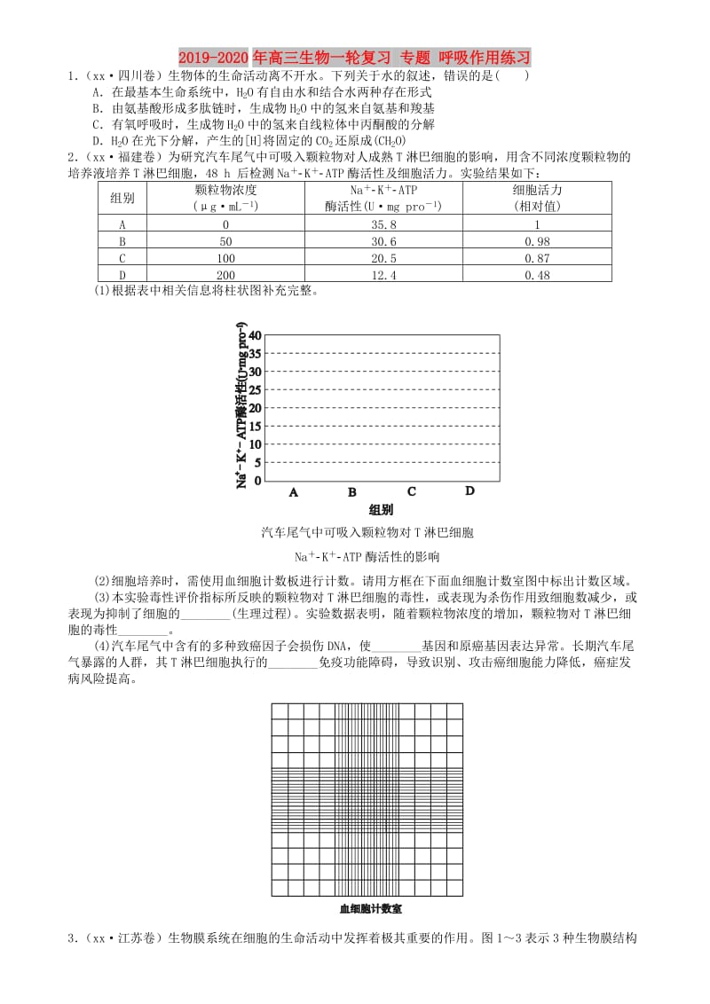 2019-2020年高三生物一轮复习 专题 呼吸作用练习.doc_第1页