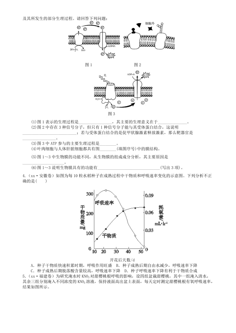 2019-2020年高三生物一轮复习 专题 呼吸作用练习.doc_第2页