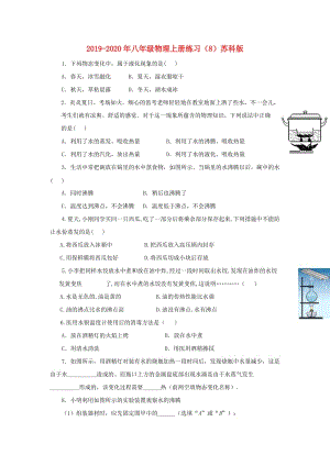 2019-2020年八年級(jí)物理上冊(cè)練習(xí)（8）蘇科版.doc