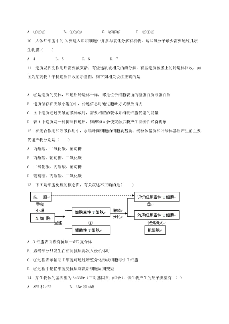 2019-2020年高三生物下学期开学考试试题高补班.doc_第3页