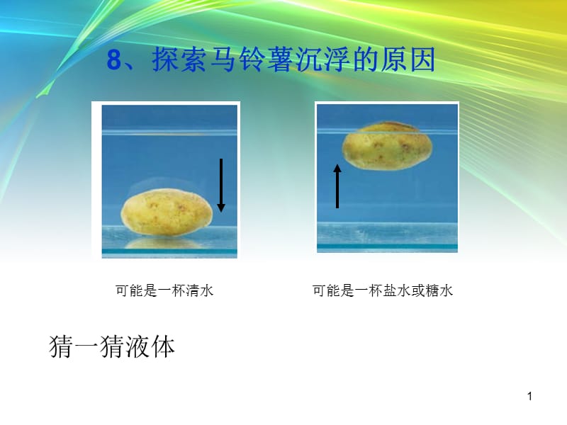 探索马铃薯在水中的沉浮ppt课件_第1页