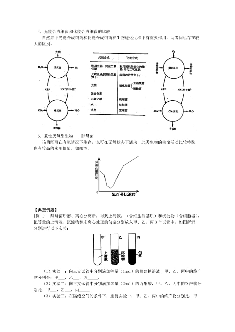 2019-2020年高三生物专题复习 呼吸作用、新陈代谢的基本类型教案.doc_第2页