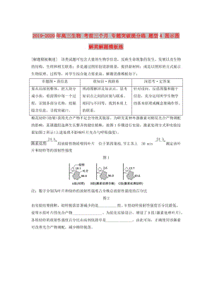 2019-2020年高三生物 考前三個月 專題突破提分練 題型4 圖示圖解類解題模板練.doc