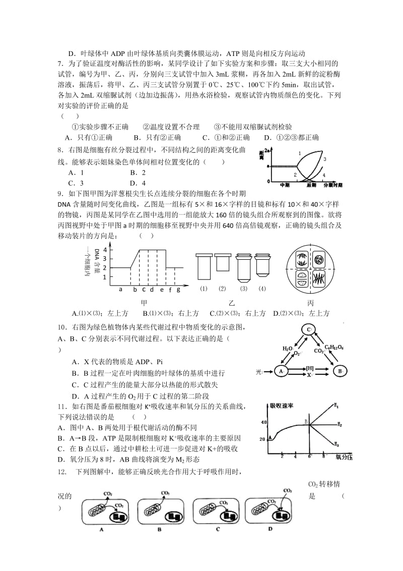 2019-2020年高三10月阶段考试生物试题.doc_第2页