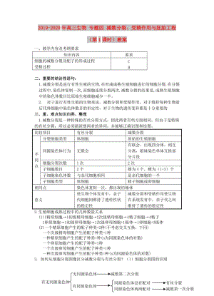 2019-2020年高三生物 專題四 減數(shù)分裂、受精作用與胚胎工程 （第1課時）教案.doc