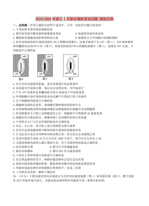 2019-2020年高三3月聯(lián)合調(diào)研考試試題 理綜生物.doc