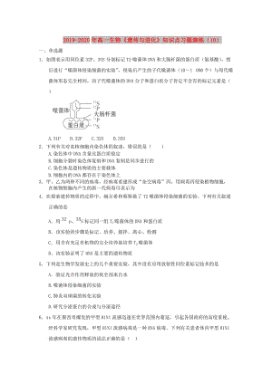 2019-2020年高一生物《遺傳與進(jìn)化》知識(shí)點(diǎn)習(xí)題演練（10）.doc