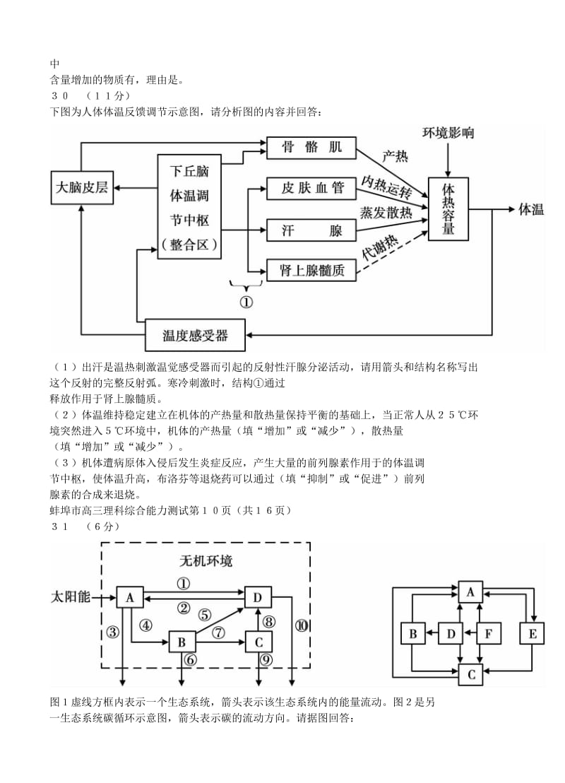 2019-2020年高三第三次教学质量检查考试理综生物试题.doc_第3页