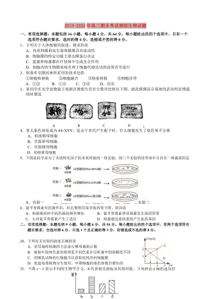 2019-2020年高三期末考試?yán)砭C生物試題.doc