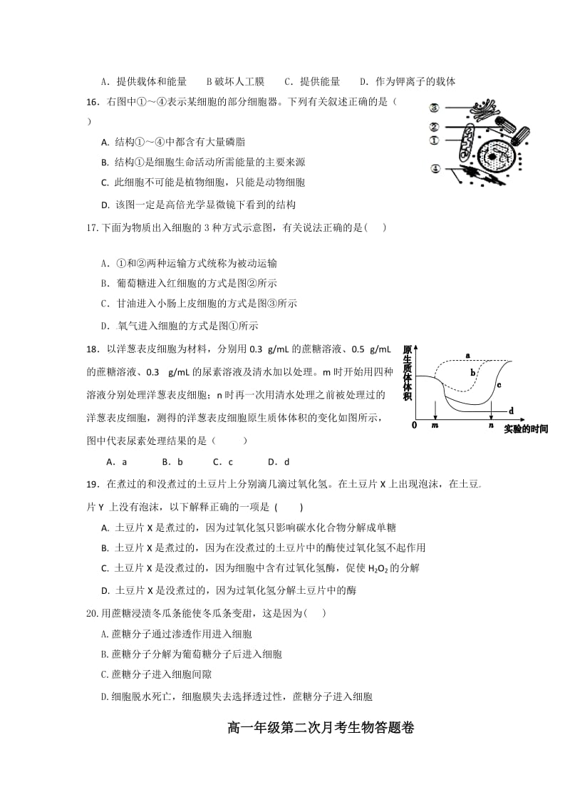 2019-2020年高一上学期第二次月考生物试题 含答案(VI).doc_第3页