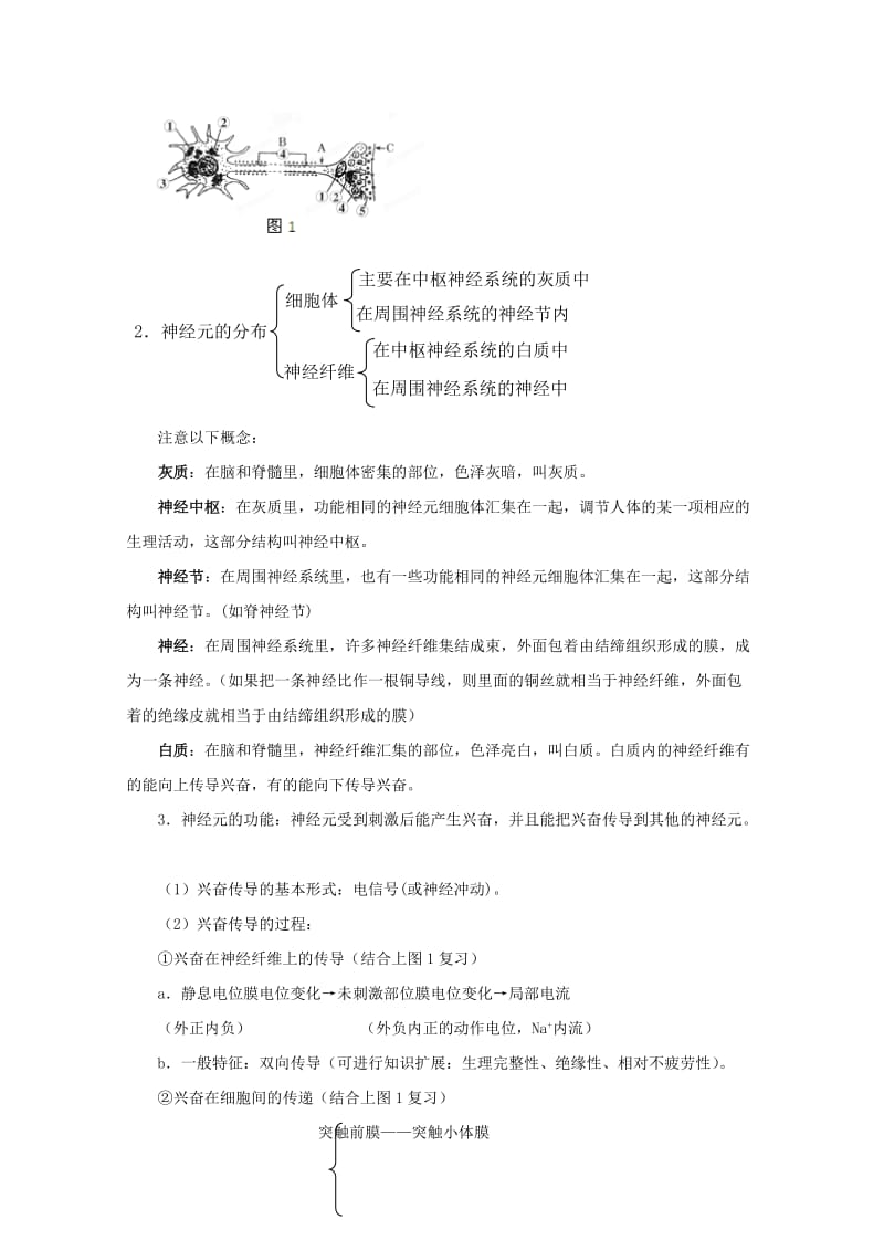 2019-2020年高考生物 解题技巧 专题八通过神经系统的调节复习教案.doc_第2页