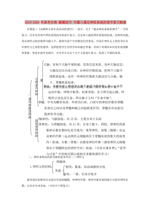 2019-2020年高考生物 解題技巧 專題八通過神經(jīng)系統(tǒng)的調(diào)節(jié)復(fù)習(xí)教案.doc