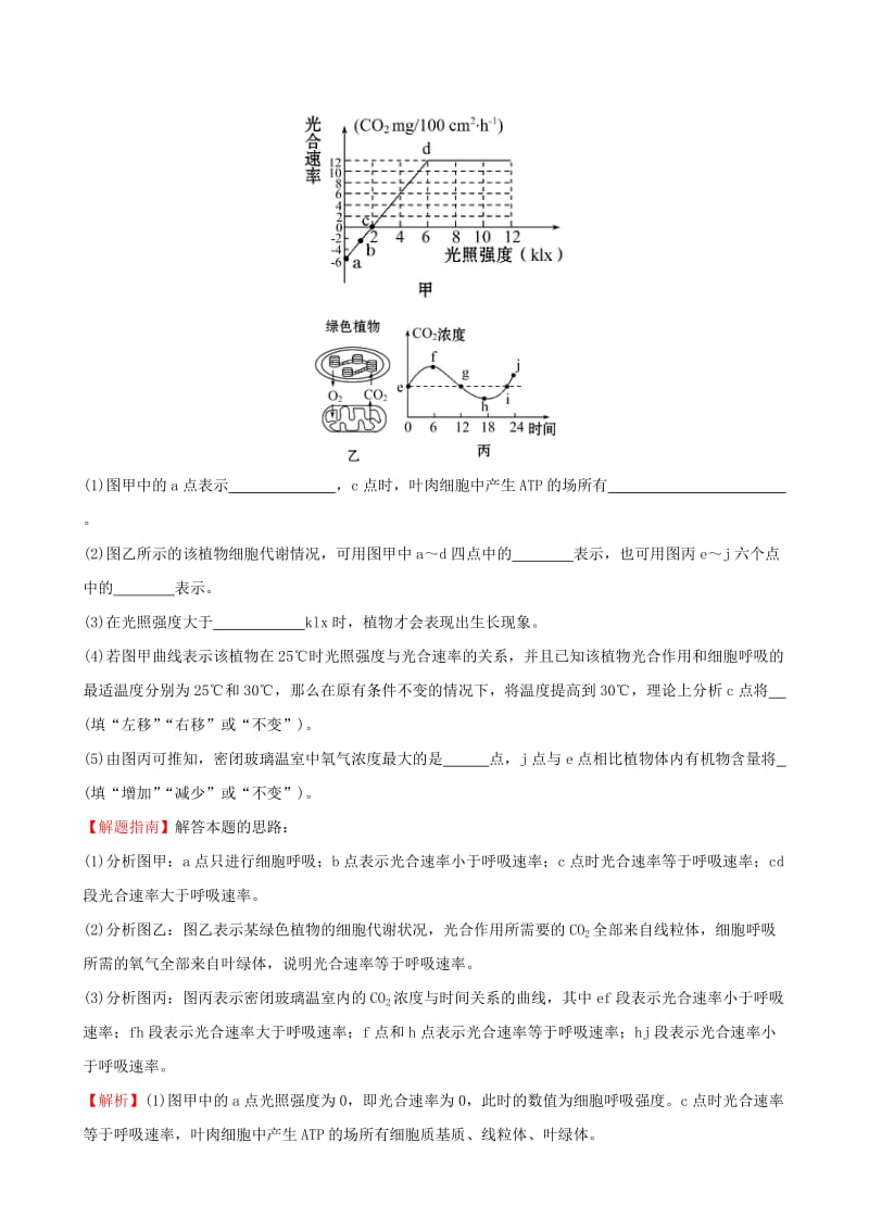 2019-2020年高三生物第一轮复习 第5章 专题强化训练 细胞呼吸和光合作用的综合应用 新人教版必修1.doc_第3页