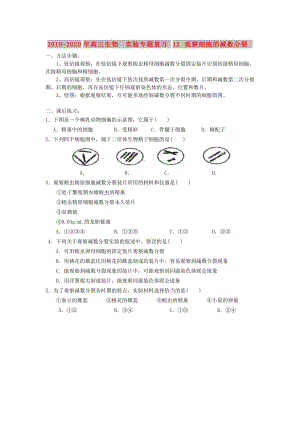 2019-2020年高三生物 實驗專題復(fù)習(xí)12 觀察細(xì)胞的減數(shù)分裂.doc