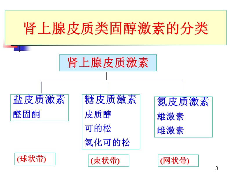 糖皮质激素在肾病的应用ppt课件_第3页