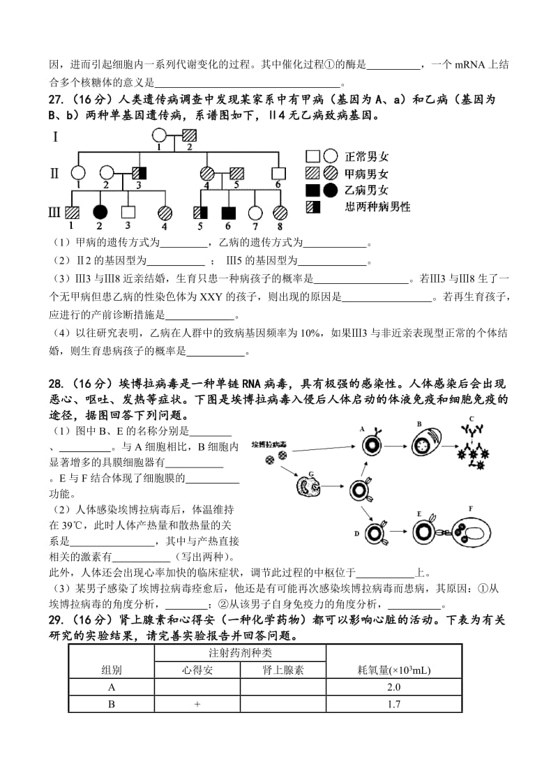 2019-2020年高三综合测试(三)理综生物试题.doc_第3页