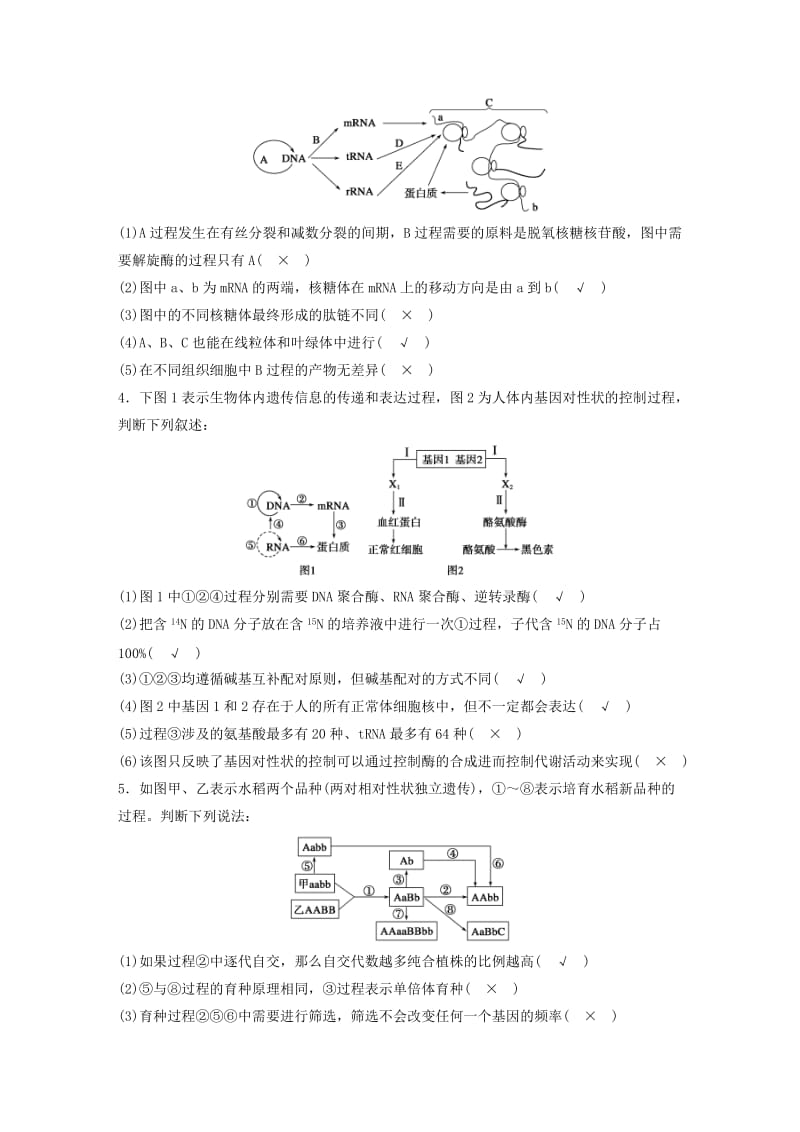 2019-2020年高三生物 考前三个月 专题突破提分练 图示4 遗传的物质基础、变异和育种相关图示.doc_第2页