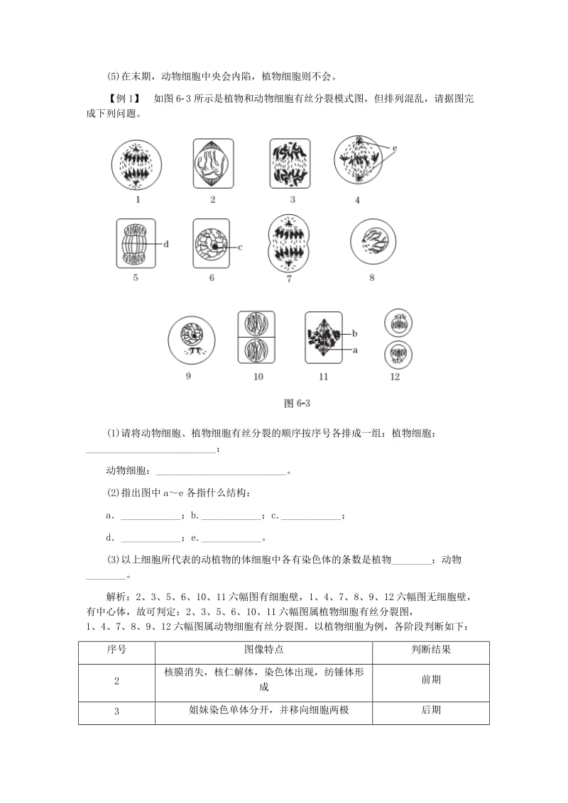 2019-2020年高中生物 第6章 细胞的生命历程专题总结（含解析）新人教版必修1.doc_第2页