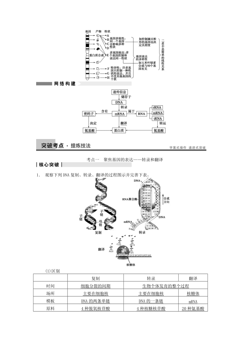 2019-2020年高考生物一轮（回扣基础+核心突破+命题探究）6.20基因的表达教学案 新人教版.doc_第3页