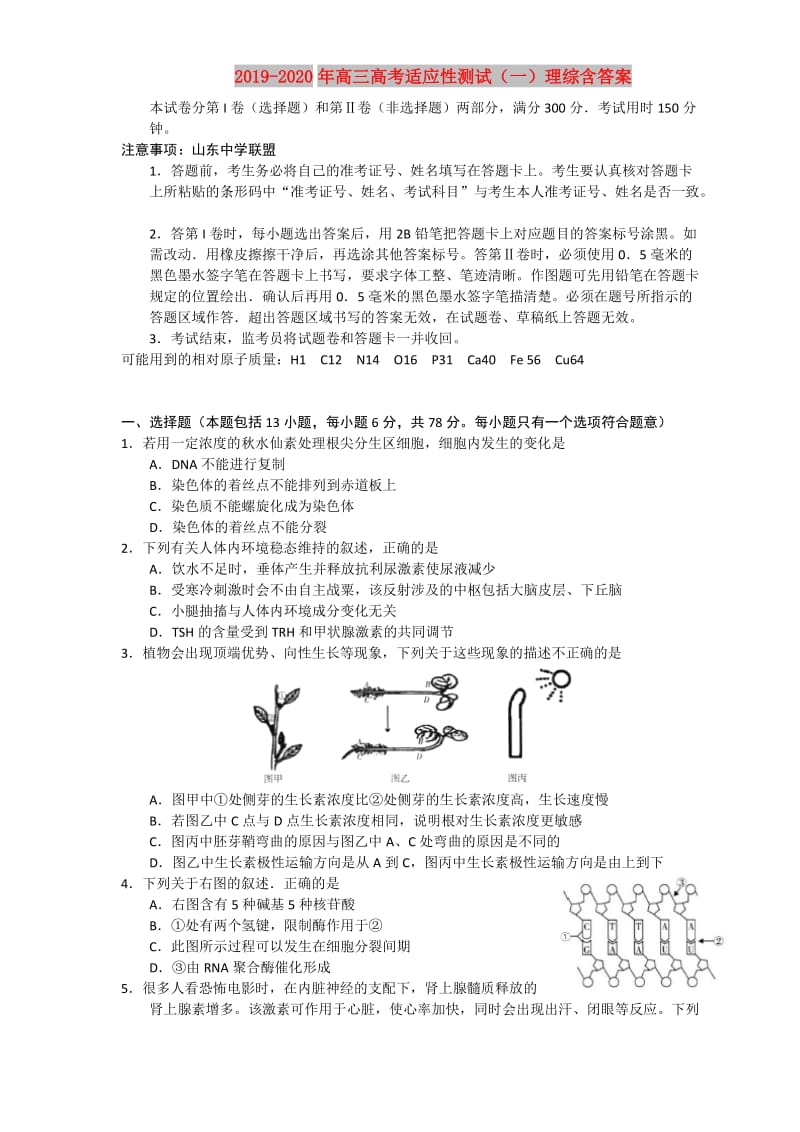 2019-2020年高三高考适应性测试（一）理综含答案.doc_第1页